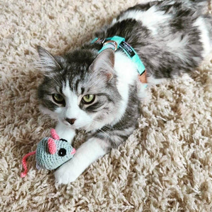 50801677273548_.pic - Nai Pet Store