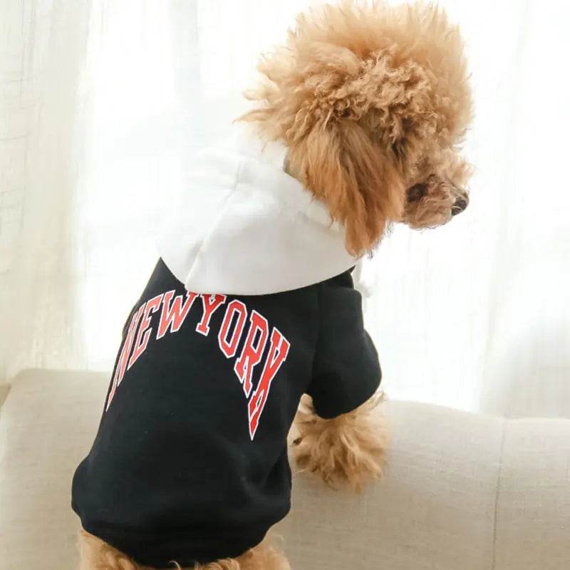 Casual Hooded Sweatshirt for Pets in Terry Cotton - Nai Pet Store