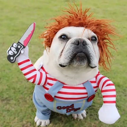 White bulldog wearing a Chucky-inspired Halloween costume with red hair and a toy knife.