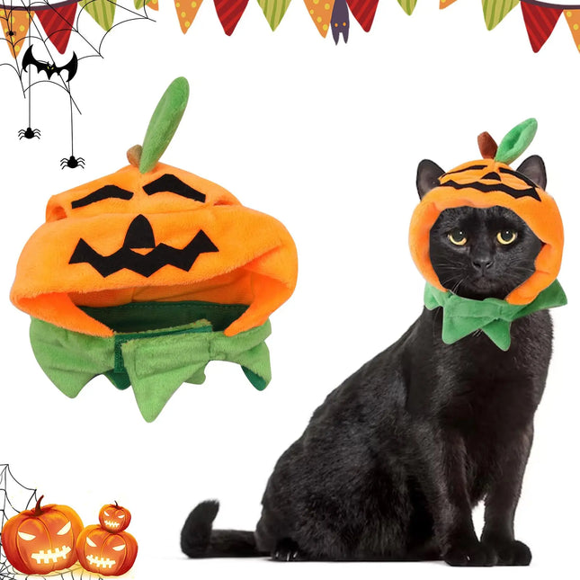 Black cat wearing a plush pumpkin costume hat for Halloween by Nai Pet Store