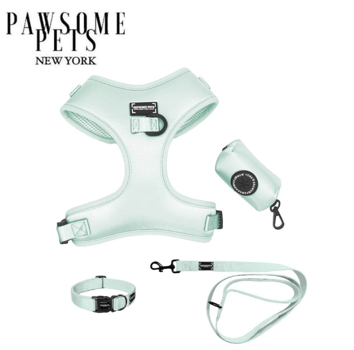 Pawsome Pet Bundle - Mint Green - Nai Pet Store