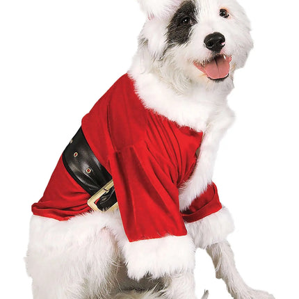 A white dog wearing a Rubies Santa Claus pet costume with a red hat and outfit.