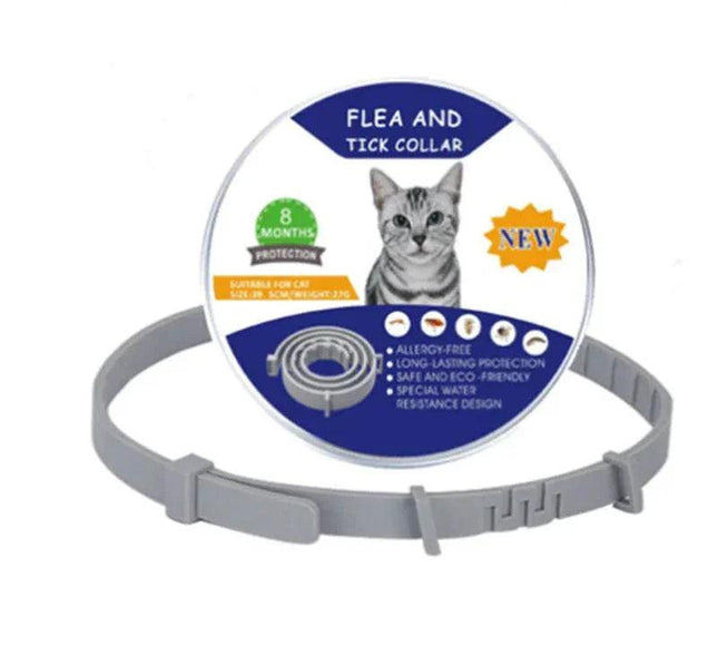 6AfgkgYA3BcdhxaC - Nai Pet Store