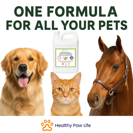 Healthy Paw Life Oatmeal Soothing Shampoo for dogs, cats, and horses.