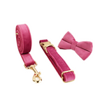 Bow knot / L
