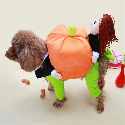 Small brown dog wearing a funny pumpkin costume for Halloween or festive celebrations.