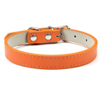 Orange / M