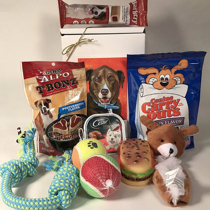 Dog Treat & Toy Gift Box