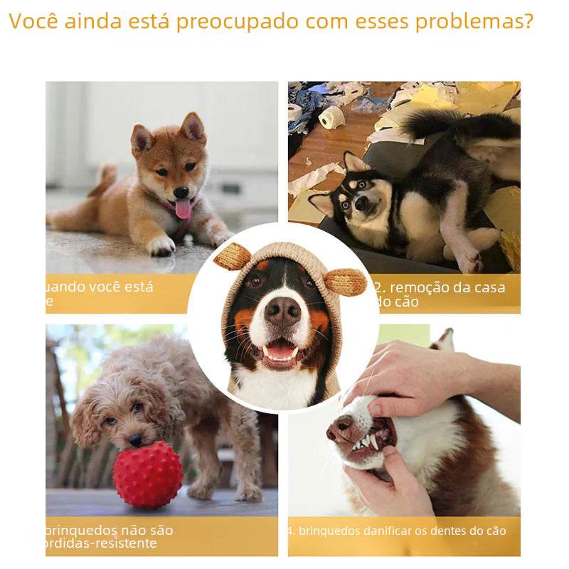 Pet Toy for Dogs - Interactive Chew Ball with Sound - Nai Pet Store