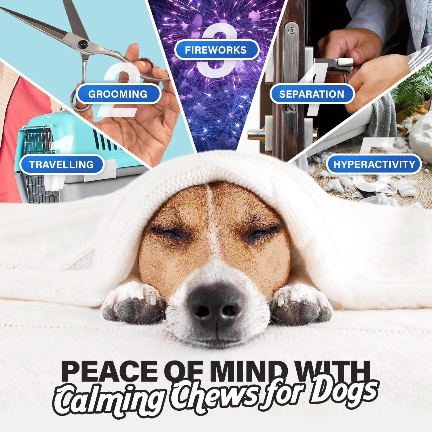 Calming Chews for Dogs Anxiety Relief Dog Calming Chews 90 Pcs Chicken Flavor - Nai Pet Store
