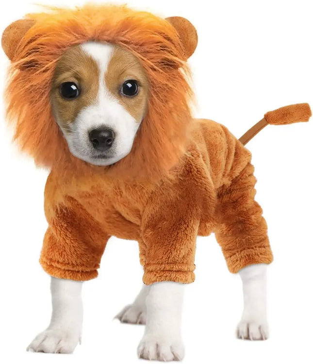 Lion Pet Costume