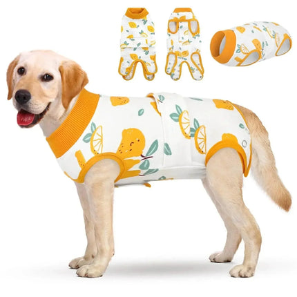 7B8lWP3TPvCq0upI - Nai Pet Store