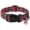 Collars & Leashes