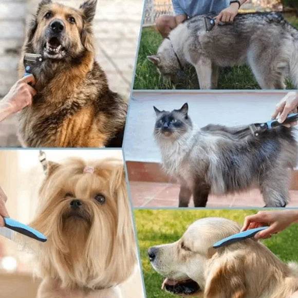 Professional Double-Sided Pet Grooming Brush - Nai Pet Store