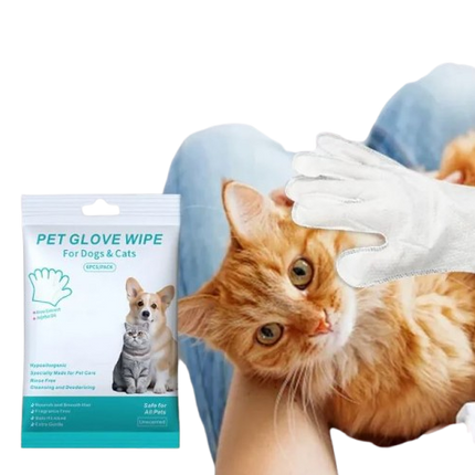 Pet Cleaning Gloves & Wipes — Disposable, Ear, Eye, Tooth & Foot Care