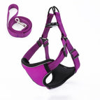 Purple / L