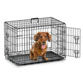 Happy dachshund in black wire dog crate with open door, ideal pet accessory for small dogs