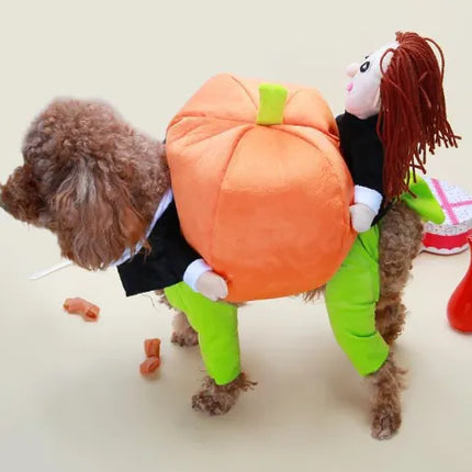 Christmas & Pumpkin Pet Costumes