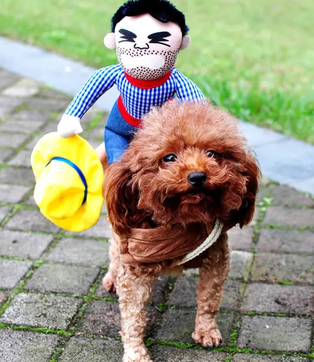 Brown poodle wearing a cowboy costume with a plush cowboy doll