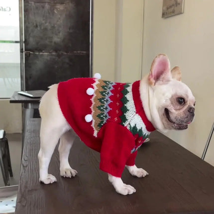 Red Christmas Sweater for Dogs & Cats