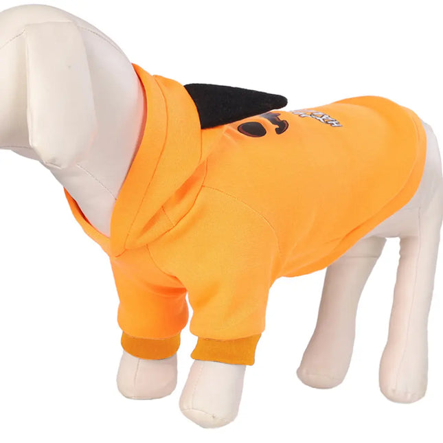 White dog wearing an orange Nai Pet Store Two-Leg Halloween costume hoodie