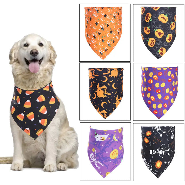 Golden Retriever wearing a Halloween pet bandana with candy corn pattern, multiple festive designs.