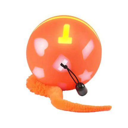 9KnFqgm1wYTGDgiU - Nai Pet Store