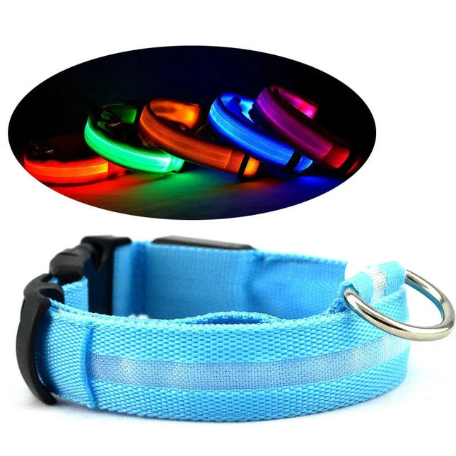 Blue LED dog collar with reflective strip, glowing in multiple colors for night safety
