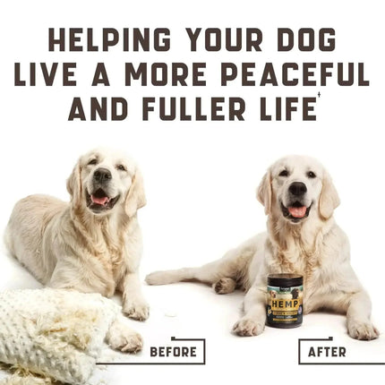 9zLcmQ91tJ7jbx4 - Nai Pet Store