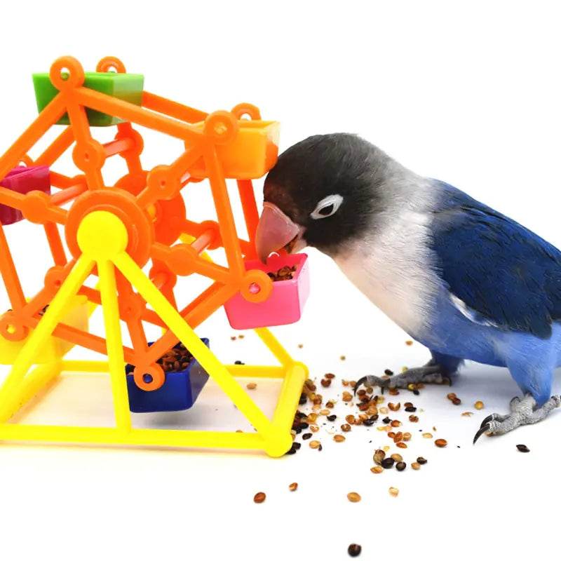 Colorful Parrot Foraging Toy for Intelligence Growth - Nai Pet Store