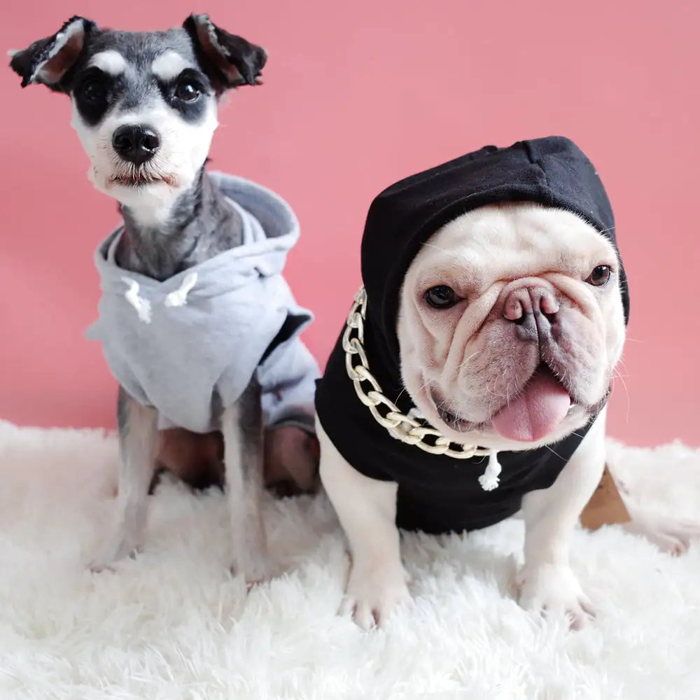 Hooded Pet Summer Vest T-Shirt for Dogs and Cats