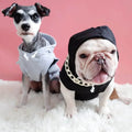 Two dogs in stylish hoodies — gray and black — on fluffy rug, perfect pet fashion accessories