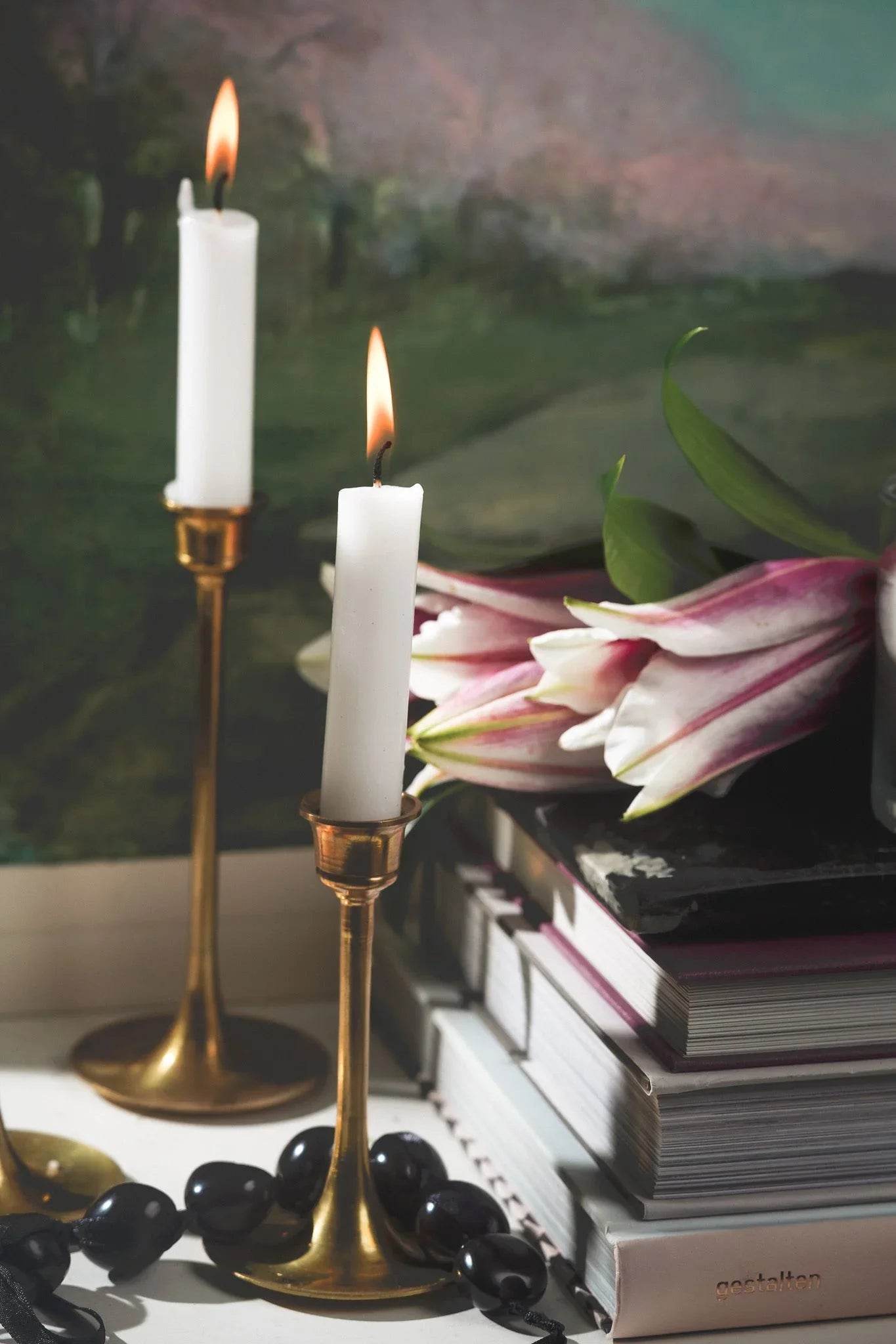 Dream Dog - Nai Pet Store