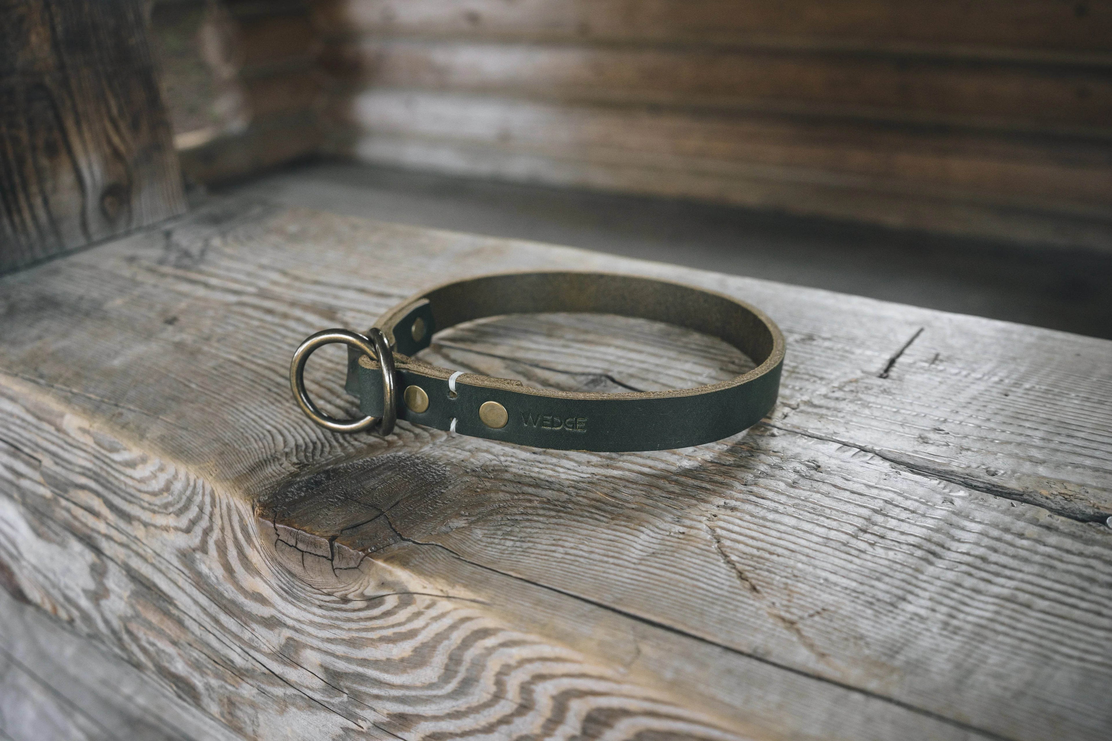 Duke - Nai Pet Store