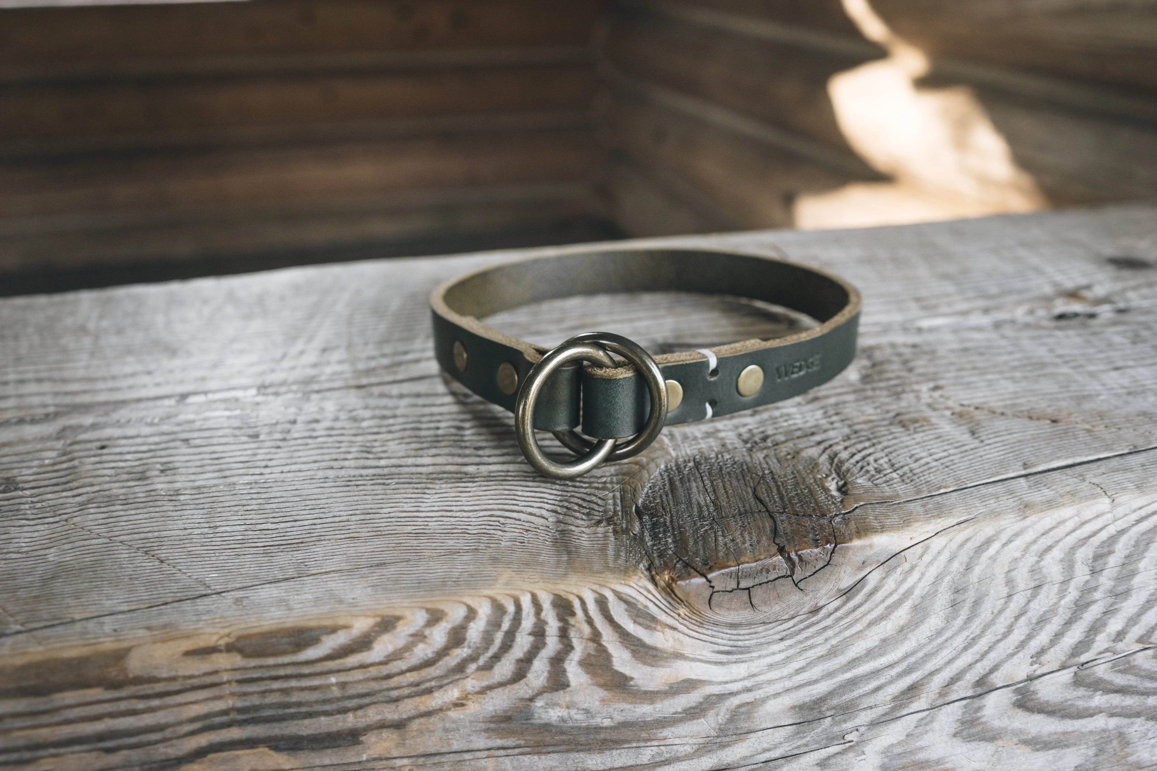 Duke - Nai Pet Store