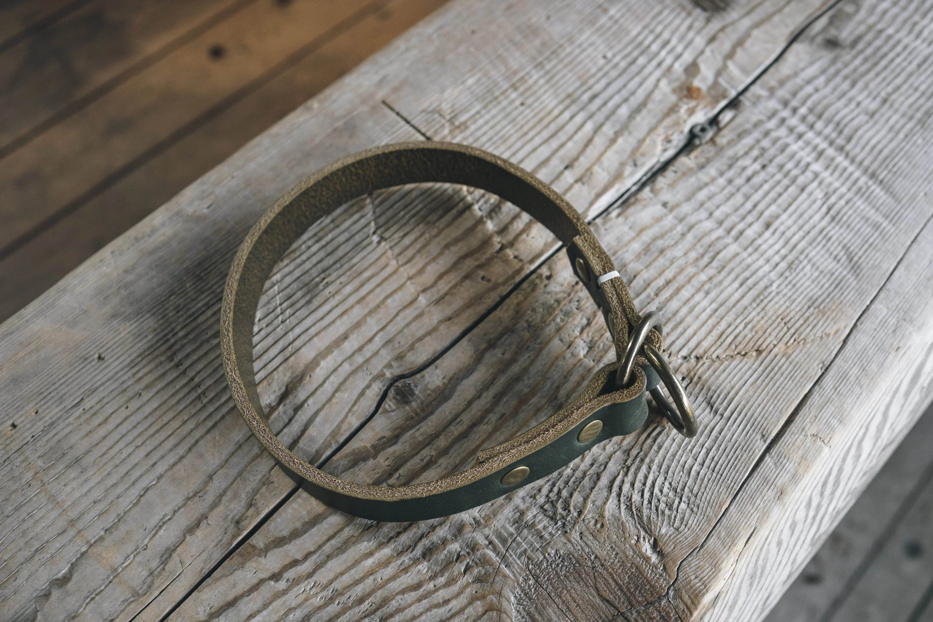 Duke - Nai Pet Store