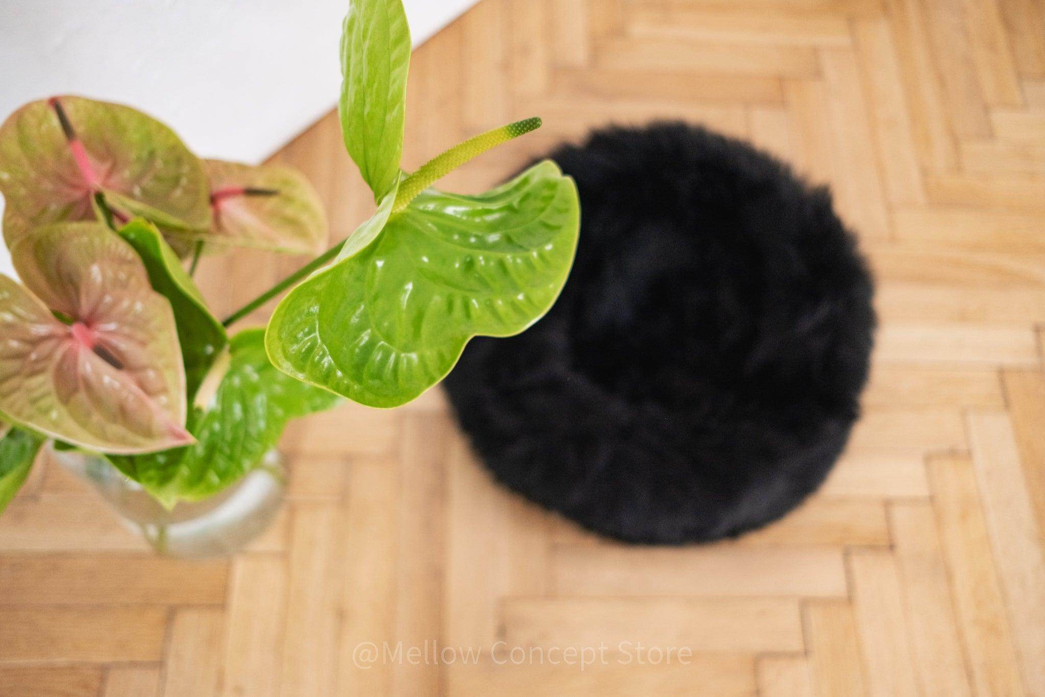 Round Natural Sheepskin Pet Bed - Black - Nai Pet Store