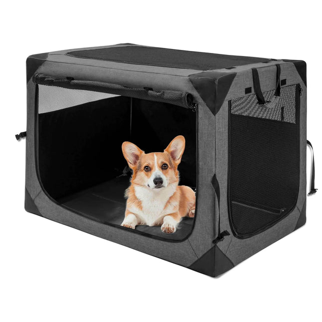 E3JQljstBn572Fcf - Nai Pet Store