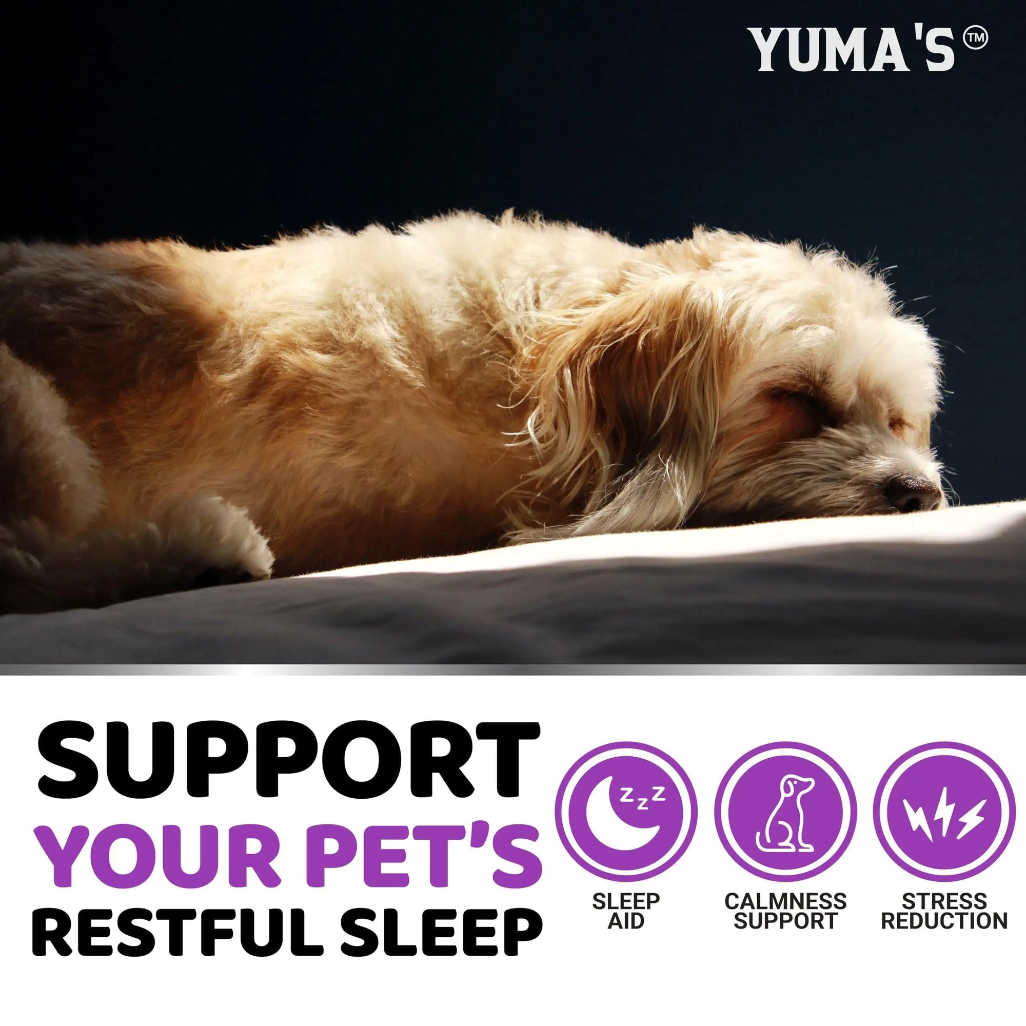 Melatonin Calming Chews for Dogs