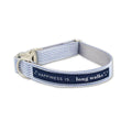 HI_LakeLife_collar_bluestripe - Nai Pet Store