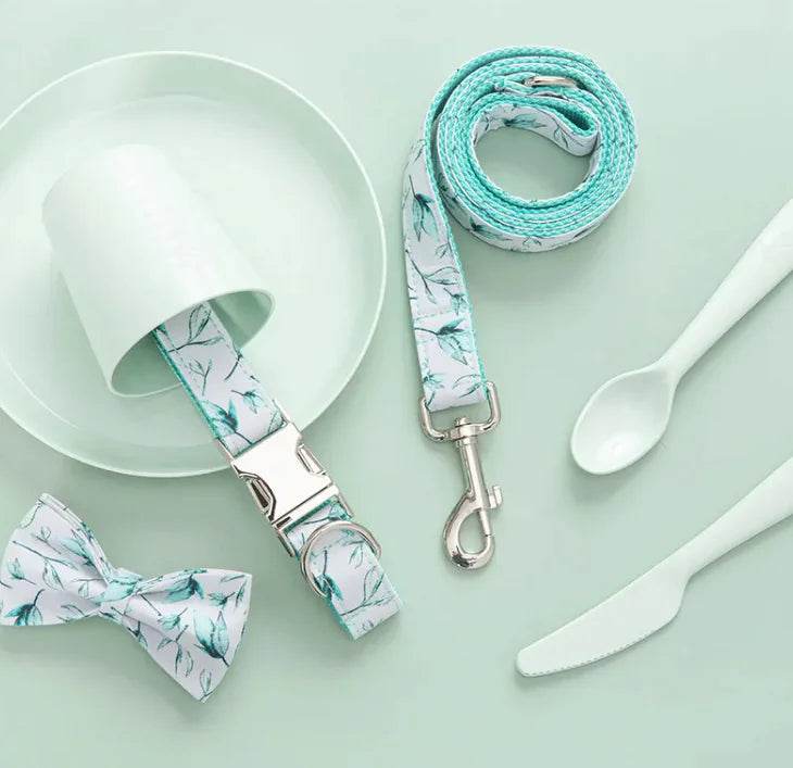 Pet Leash - Nai Pet Store