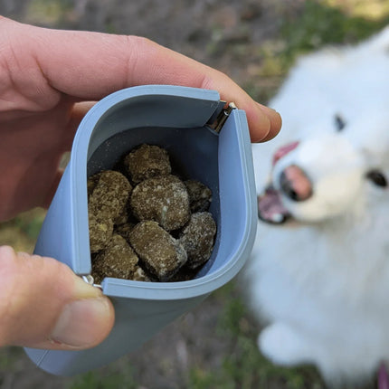 Inuse4 - Nai Pet Store
