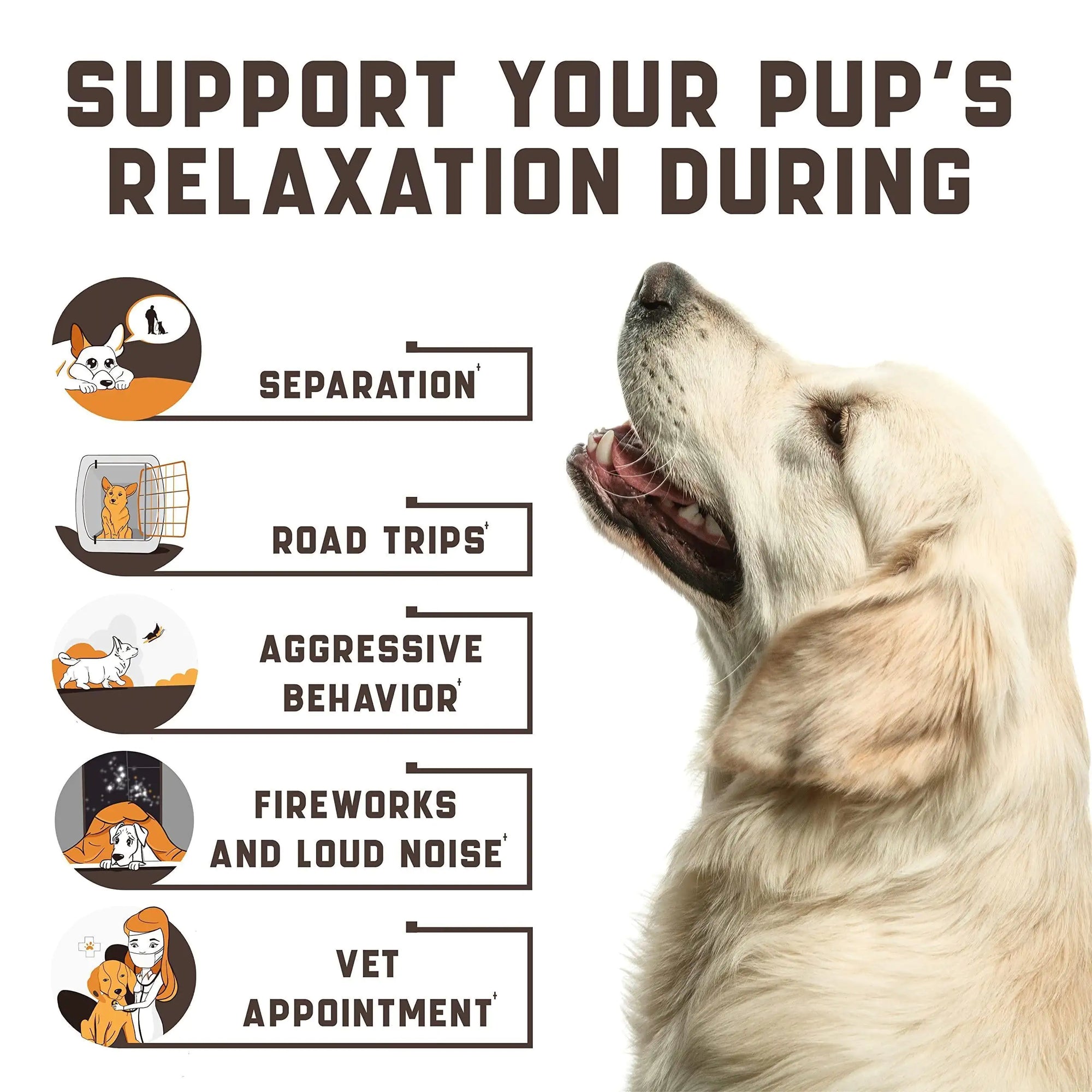 Natural Calming Chews for Dogs W/ Hemp Oil