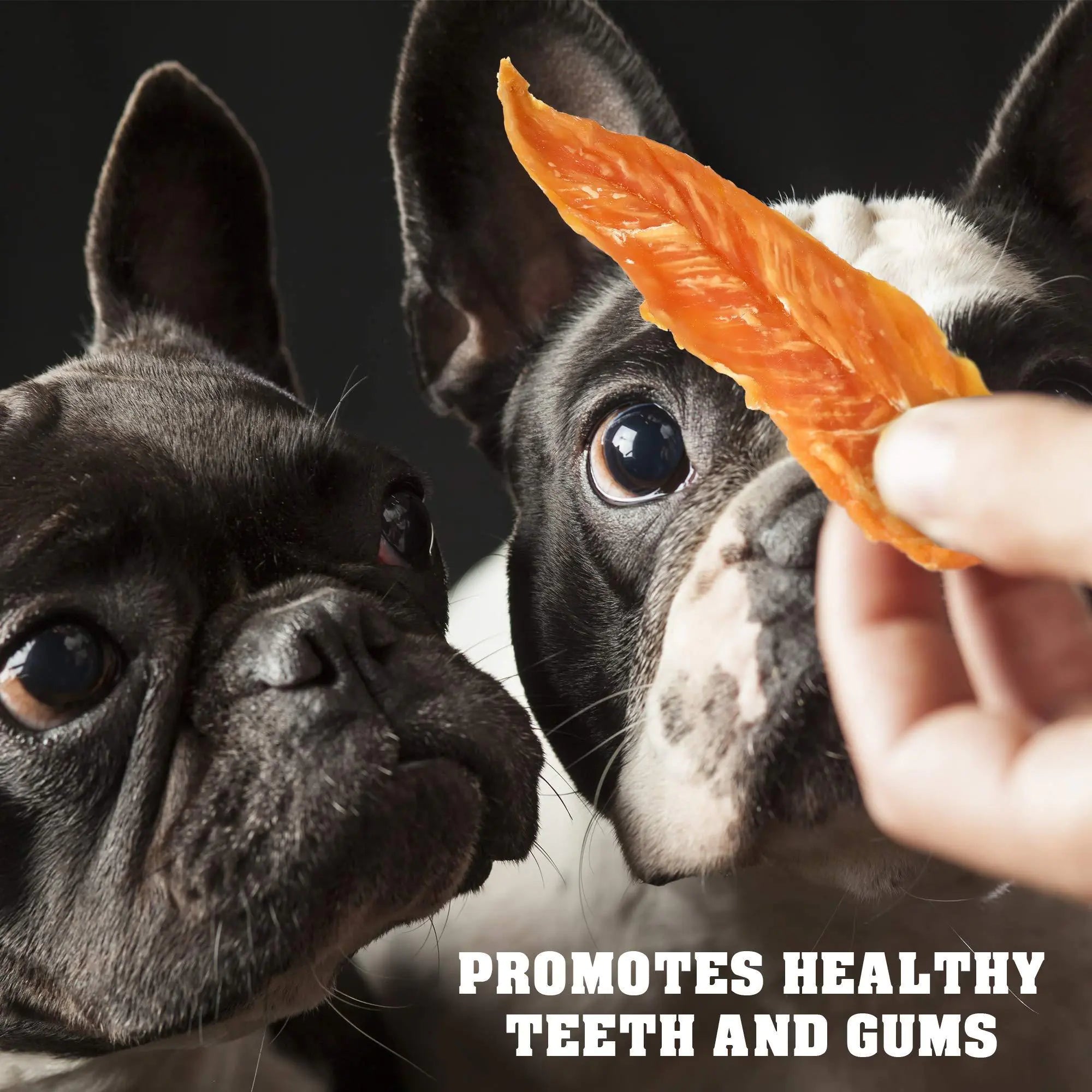 Chicken Jerky Dog Treats 1.5 Lb Human Grade Pet Snacks