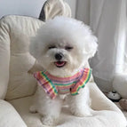 Rainbow vest pink / XXL
