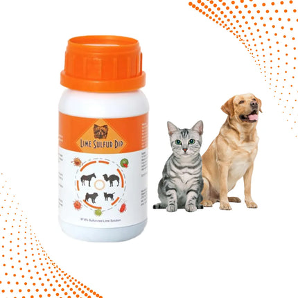 Healthy Paw Life Concentrated Lime Sulfur Dip bottle next to a cat and a dog.