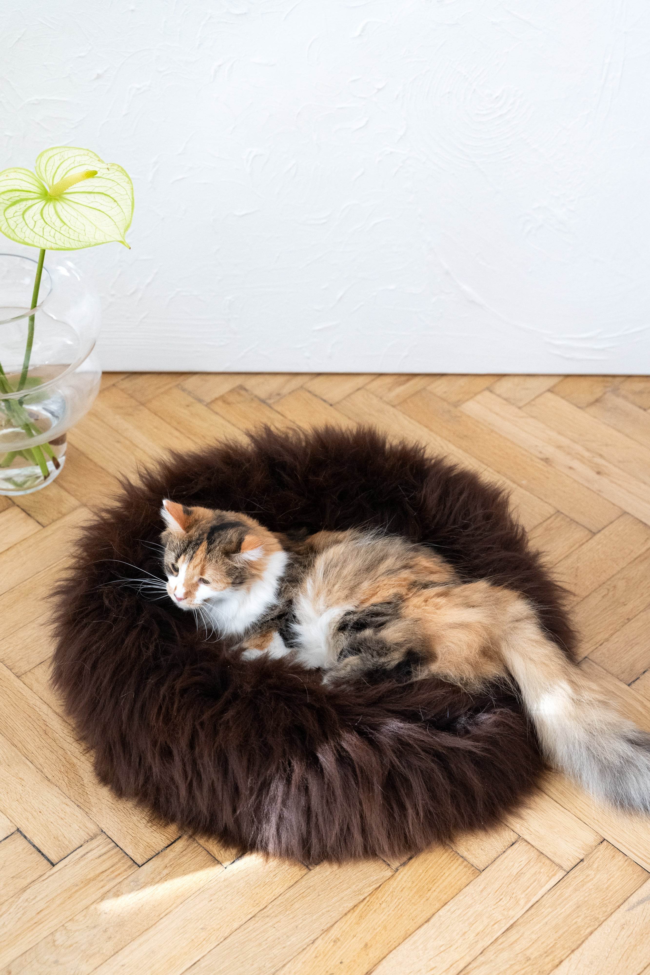 Round Natural Sheepskin Pet Bed - Brown - Nai Pet Store