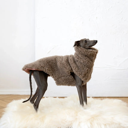 Greyhound wearing a brown Mellow Pet Store sheepskin coat standing on a white sheepskin mat