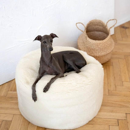 MSG_4759_Large_4c1e3eaf-b022-437b-a9d3-39206460ab95 - Nai Pet Store