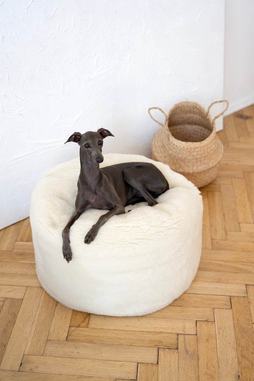 Oval Natural Wool Pet Bed - White - Nai Pet Store